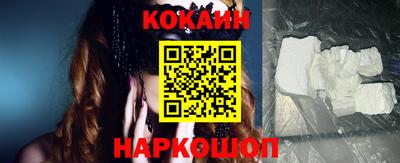 тгк Кингисепп