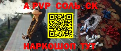 тгк Кингисепп