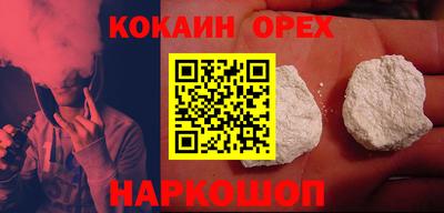 тгк Кингисепп