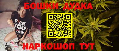 тгк Кингисепп