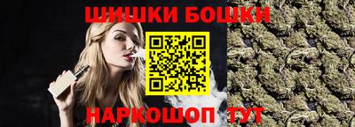 тгк Кингисепп