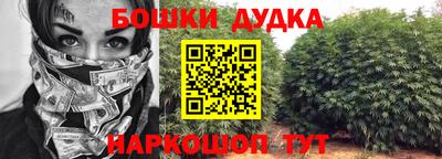 тгк Кингисепп
