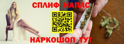 тгк Кингисепп