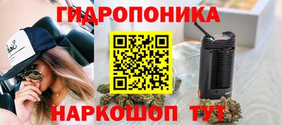 тгк Кингисепп