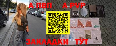 тгк Кингисепп