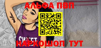 тгк Кингисепп