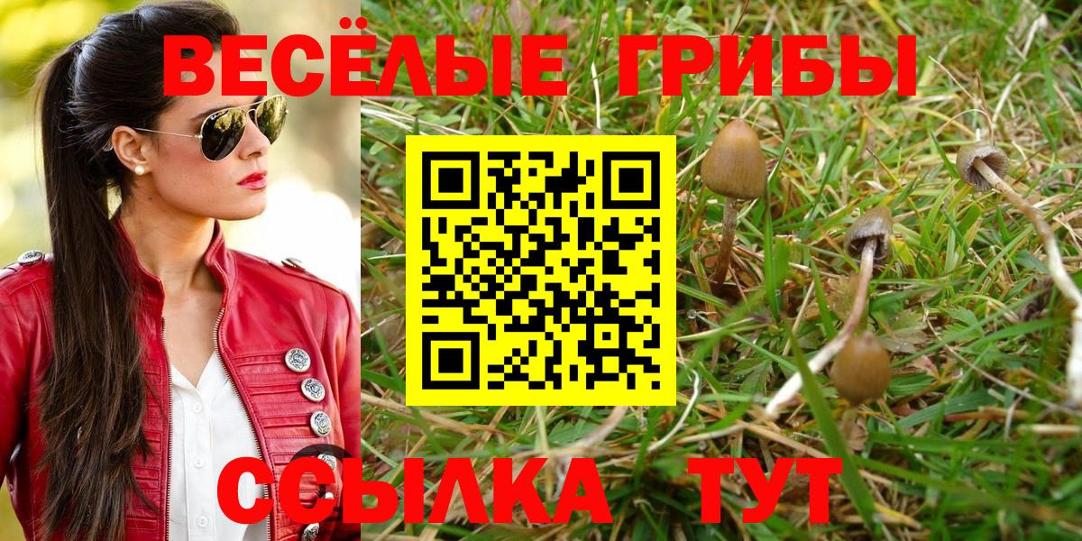 Псилоцибиновые грибы GOLDEN TEACHER  Вход с VPN  Коряжма 