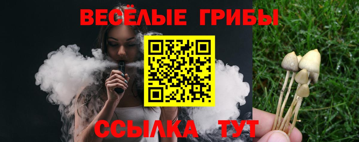 Псилоцибиновые грибы Psilocybine cubensis Коряжма